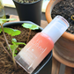 REPROTRCTOR LOTION  SPF35 PA++++ 美肌水光物理性防曬（40ml) + PURE ROSE OIL 玫瑰幹細胞精華油（10ml)